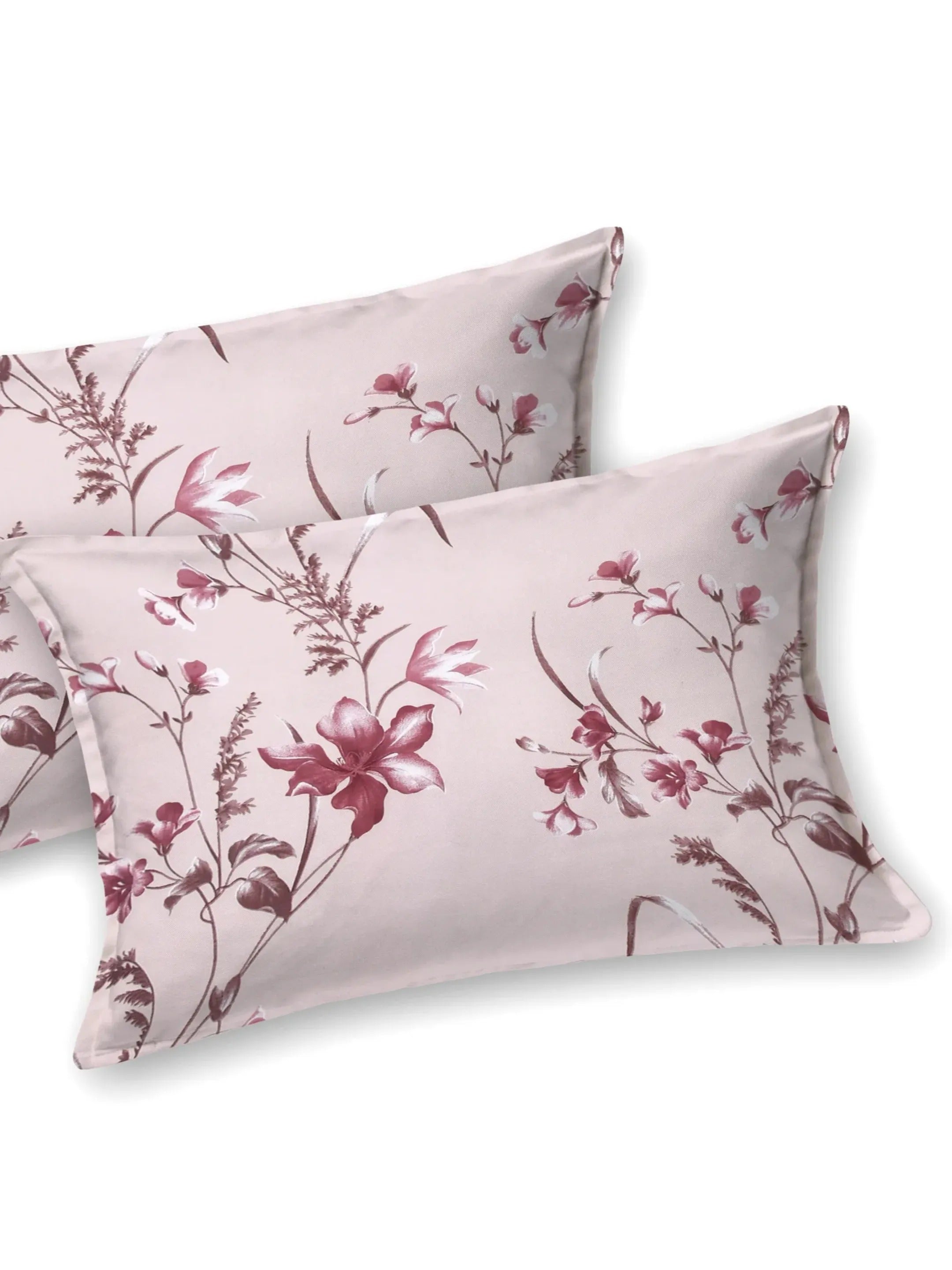 LIVING ROOTS 1 Super King Size Bedsheet 104*104 (8.5*8.5) feet with 2 Pillow Cover | Twill Cotton | Rich Fast Colour with No Colour Bleeding | Soft, Breathable & Skin Friendly, Keeps Your Body  Cool (360-C)