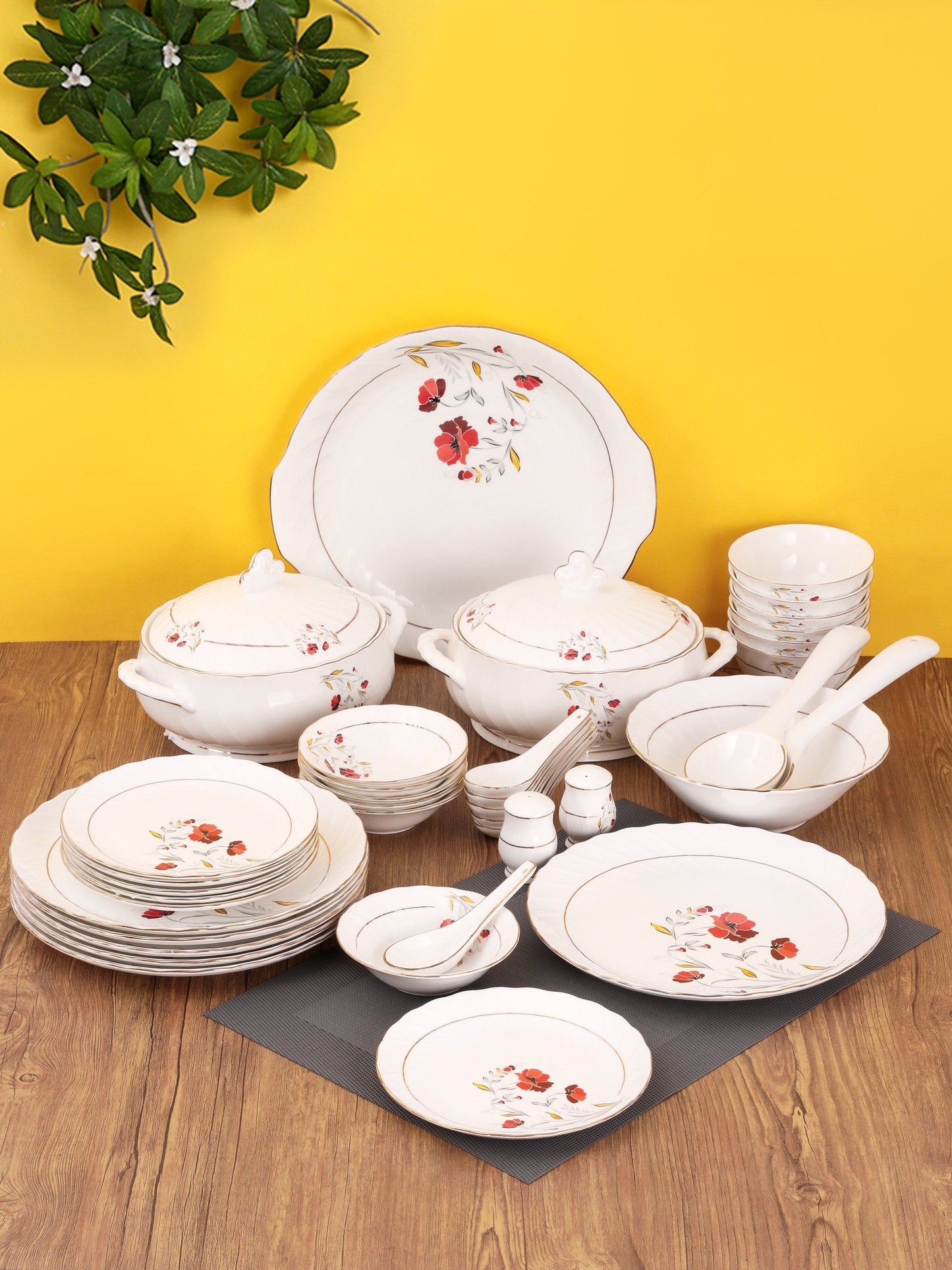 Karina Microwave Dinnerware Set of 40 (159) - Clay Craft India