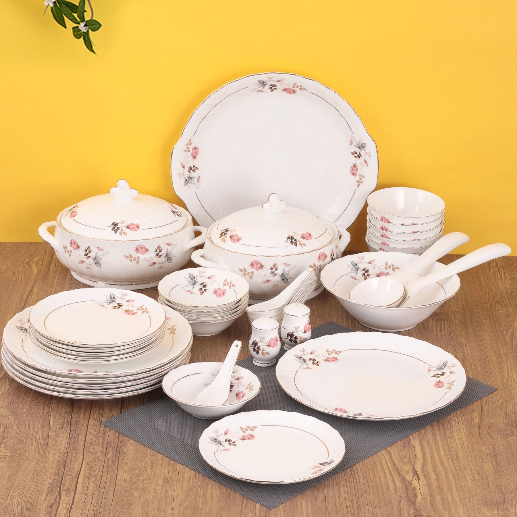 Karina Microwave Dinnerware Set of 40 (182) - Clay Craft India